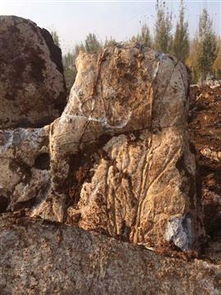 不限,價格,廠家,供應(yīng)商,沙石 礫石 卵石及制品,臨沂市蘭山區(qū)大躍石材銷售處 熱賣促銷