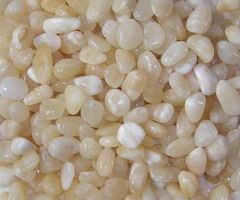 機制石米,米黃玉,卵石,石米生產(chǎn)供應商 砂巖 礫石及卵石